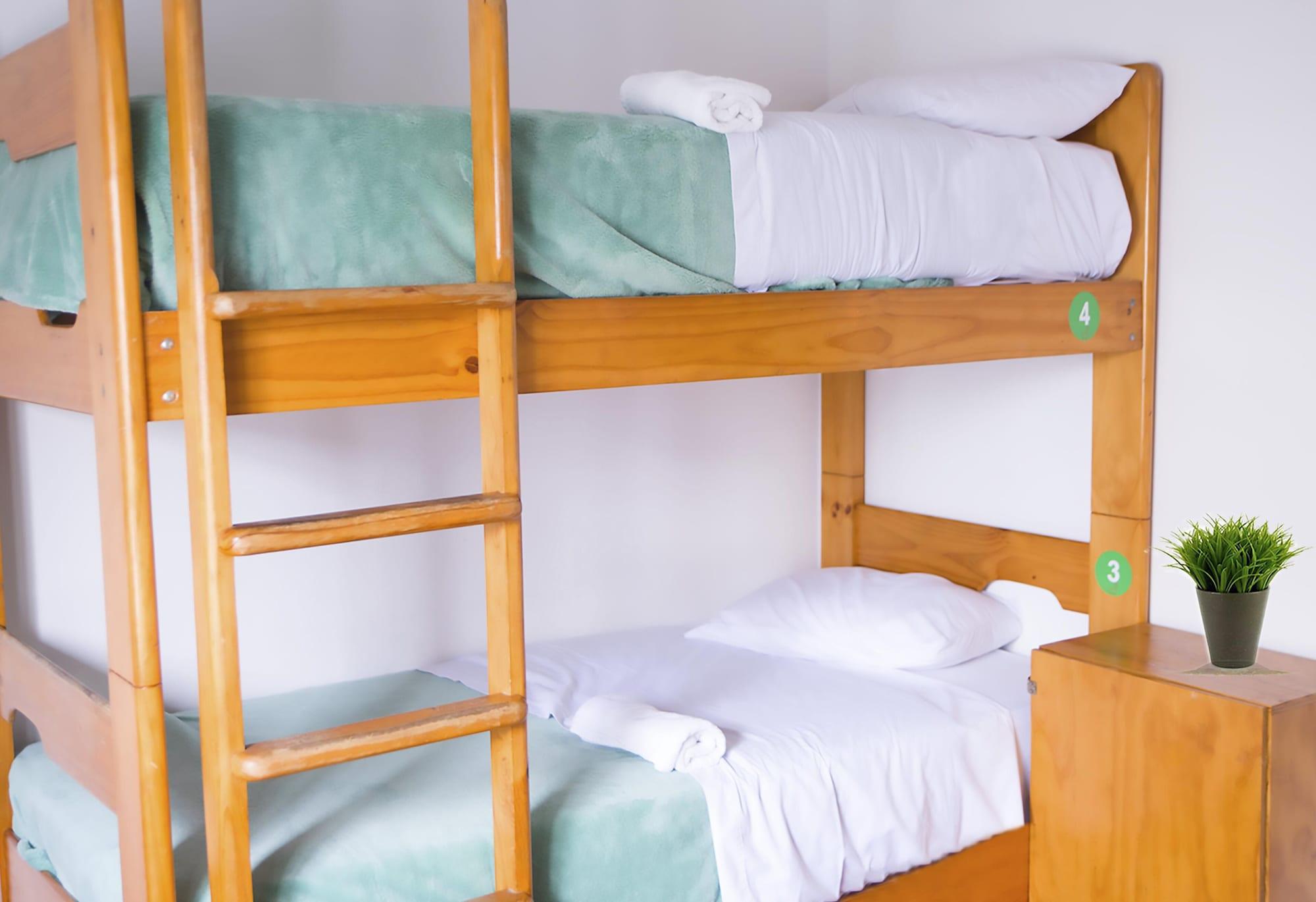Red Llama Eco Hostel Лима Экстерьер фото