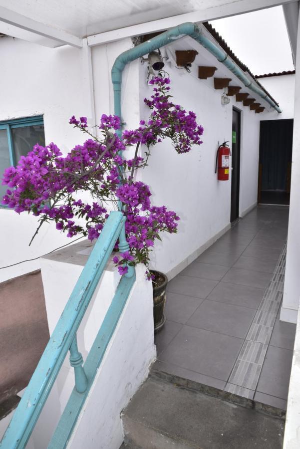 Red Llama Eco Hostel Лима Экстерьер фото